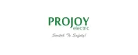 Projoy Electric